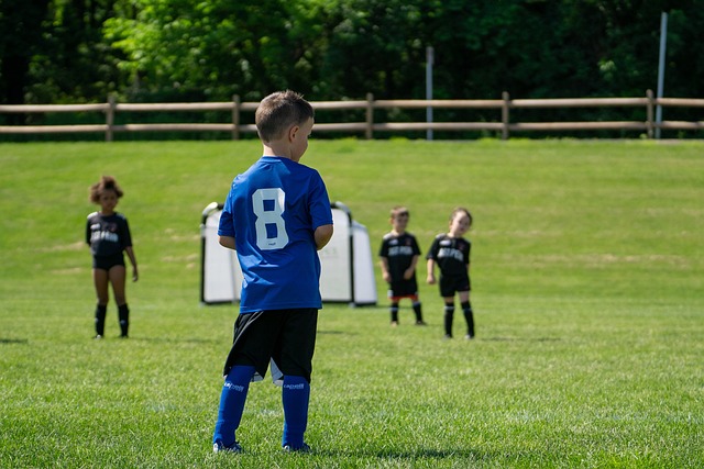 治理能力的 治理能力的