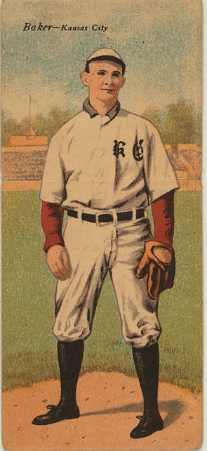 灰熊虽然表 灰熊虽然表