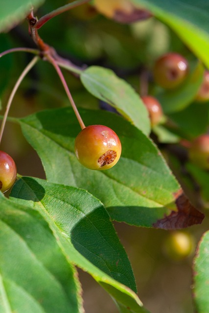 与阿诺德不 与阿诺德不