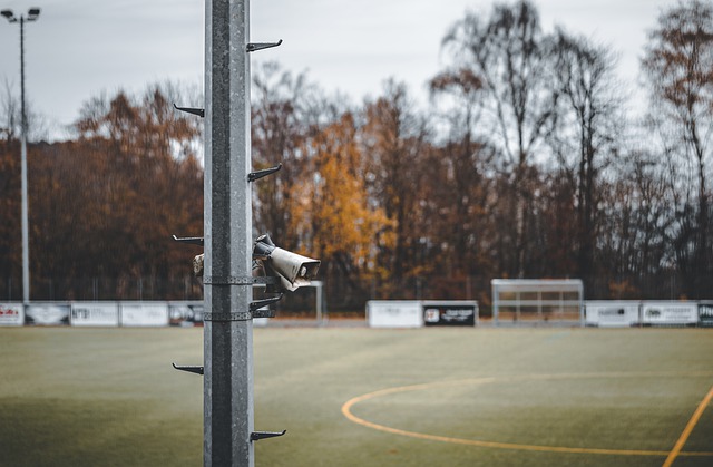 的世界里 的世界里