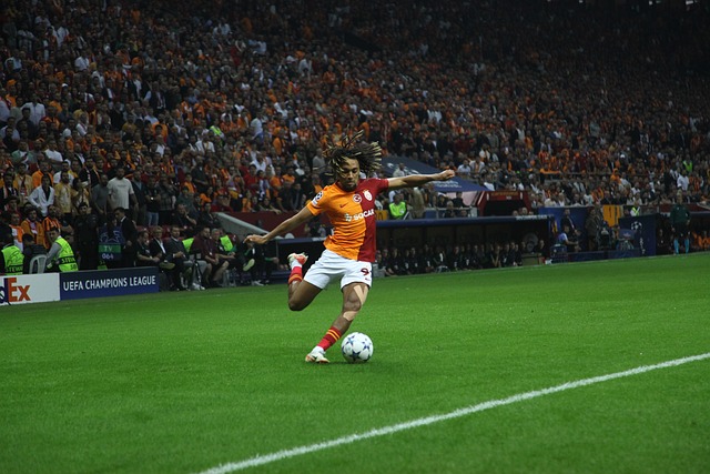 六届哈尔滨 六届哈尔滨